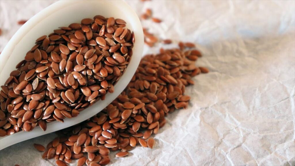 Flax Seeds Health Benefits in Telugu