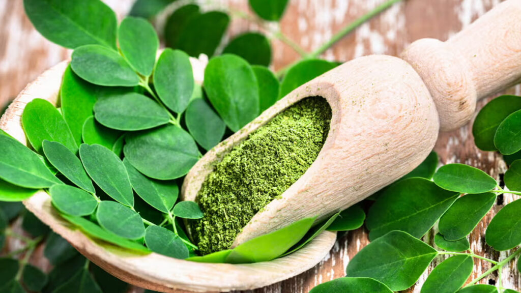 Health Benefits of Moringa Leaves